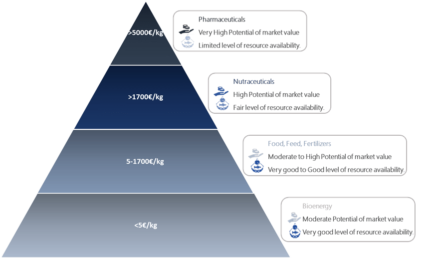 Figura 2: Pirâmide de valores volume/lucro para diferentes aplicações na Bioeconomia Azul