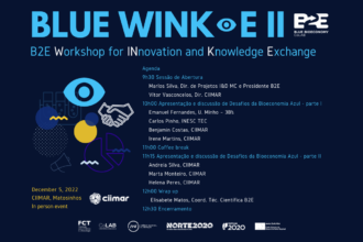 B2E Blue WINK-E Event