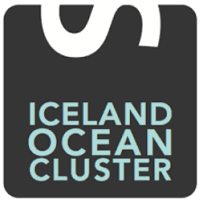 Iceland Ocean Cluster